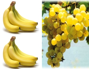 buah-buahan berwarna kuning